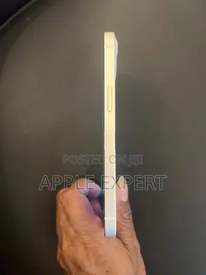 Apple iPhone 13 (Used)