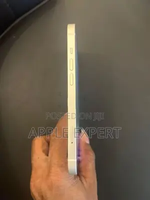 Apple iPhone 13 (Used)