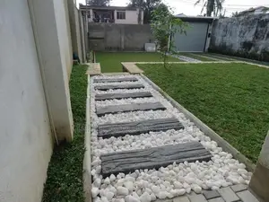 Malaysian Hybrid Grass