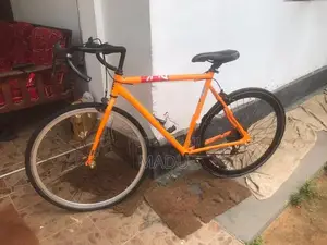 Japan imported cycles