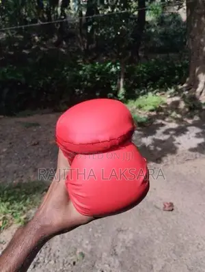 Sunrise Karate Gloves