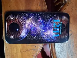 Apple iPhone 13 Pro Max (Used)