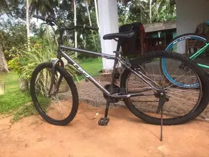 Japan imported cycles