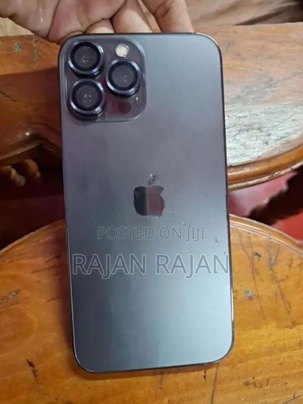 Apple iPhone 13 Pro Max (Used)
