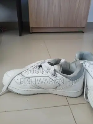 Dior sneaker