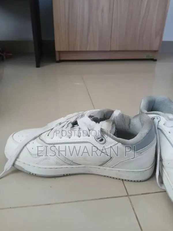 Dior sneaker
