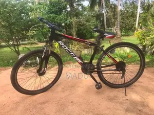 Japan imported cycles