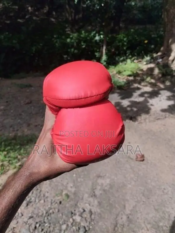 Sunrise Karate Gloves