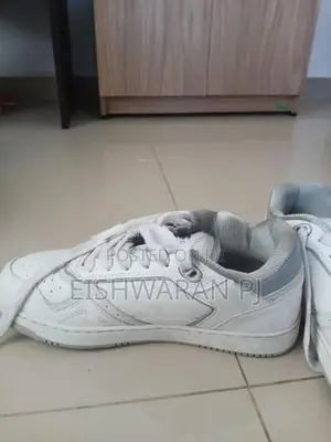 Dior sneaker