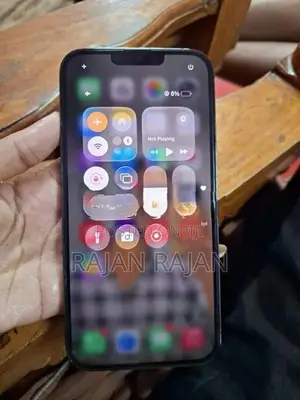 Apple iPhone 13 Pro Max (Used)