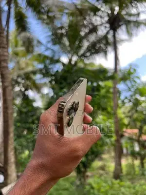 Apple iPhone 13 Pro (Used)