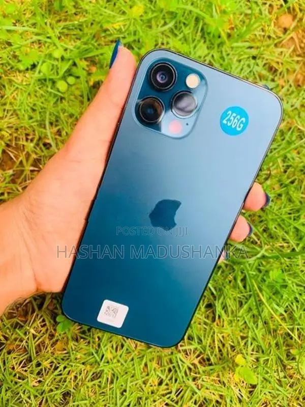 Apple iPhone 12 Pro (Used)