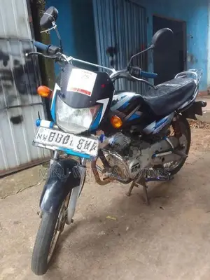 Bajaj CT100 2019