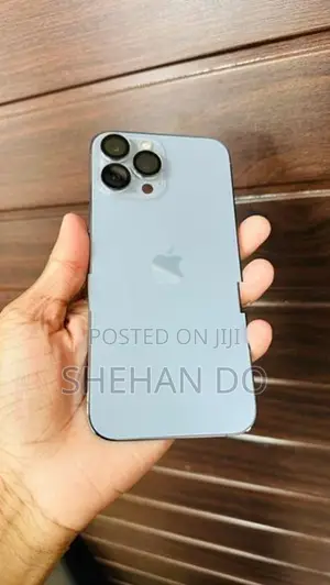 Apple iPhone 13 Pro Max (Used)