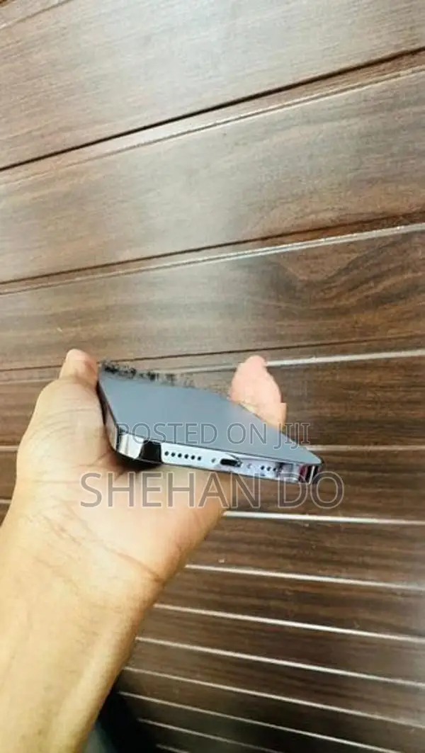 Apple iPhone 13 Pro Max (Used)