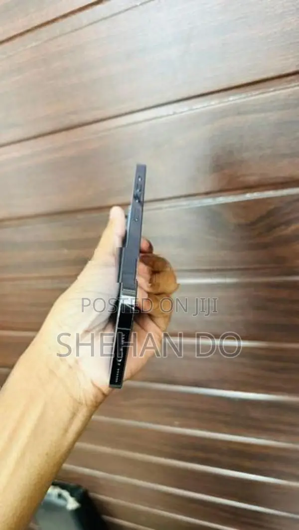 Apple iPhone 13 Pro Max (Used)