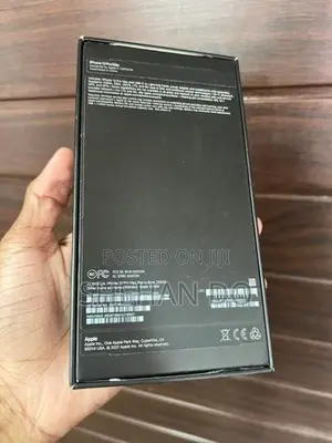 Apple iPhone 13 Pro Max (Used)