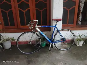 Rocky Bicycle