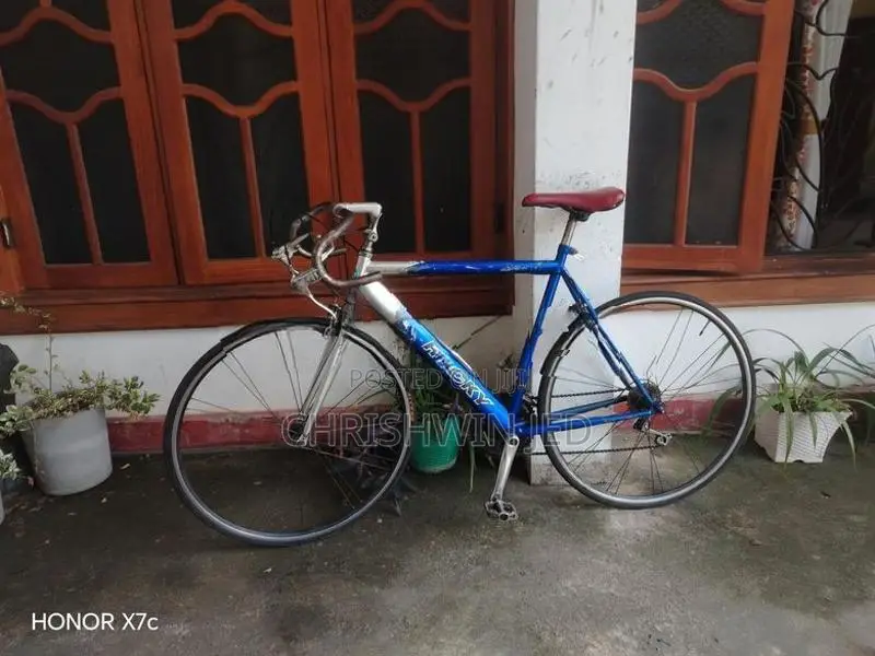 Rocky Bicycle
