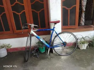 Rocky Bicycle