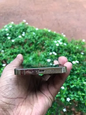 Apple iPhone 13 Pro 256 GB (Used)