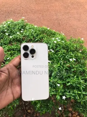 Apple iPhone 13 Pro 256 GB (Used)