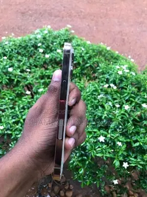 Apple iPhone 13 Pro 256 GB (Used)