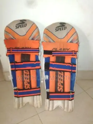 Cricket Pads