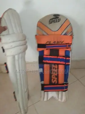 Cricket Pads