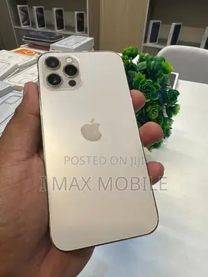 Apple iPhone 12 Pro 256GB (Used)