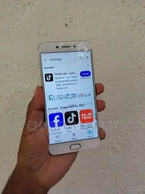 Oppo F1s 4GB 64GB (Used)