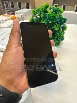 Apple iPhone 12 Pro 256GB (Used)