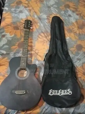 Acoustic Guitar