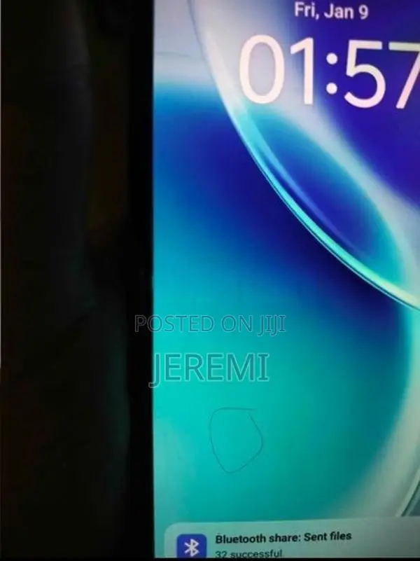 Vivo X300 (Used)