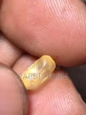 Natural Kowangu Loop Gem