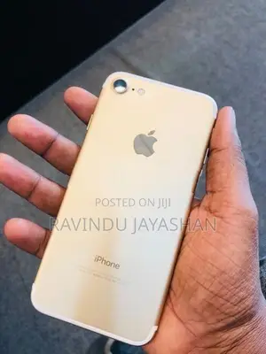Apple iPhone 7 (Used)