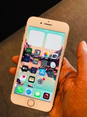 Apple iPhone 7 (Used)