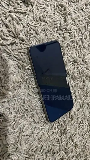 Apple iPhone 15 Pro Max (Used)