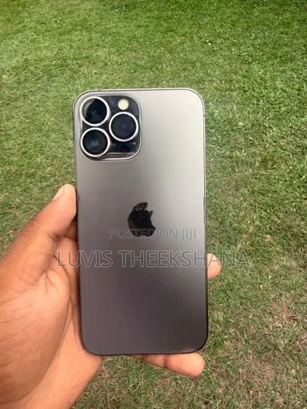 Apple iPhone 13 Pro Max (Used)
