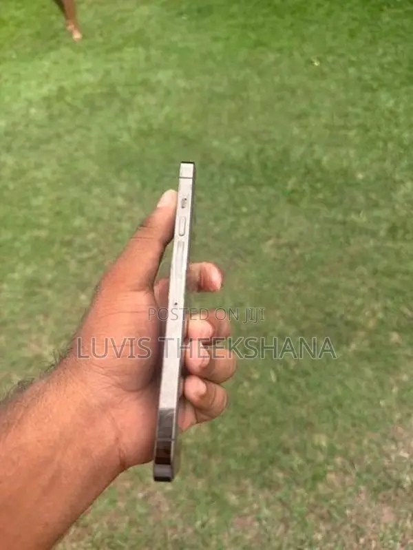Apple iPhone 13 Pro Max (Used)