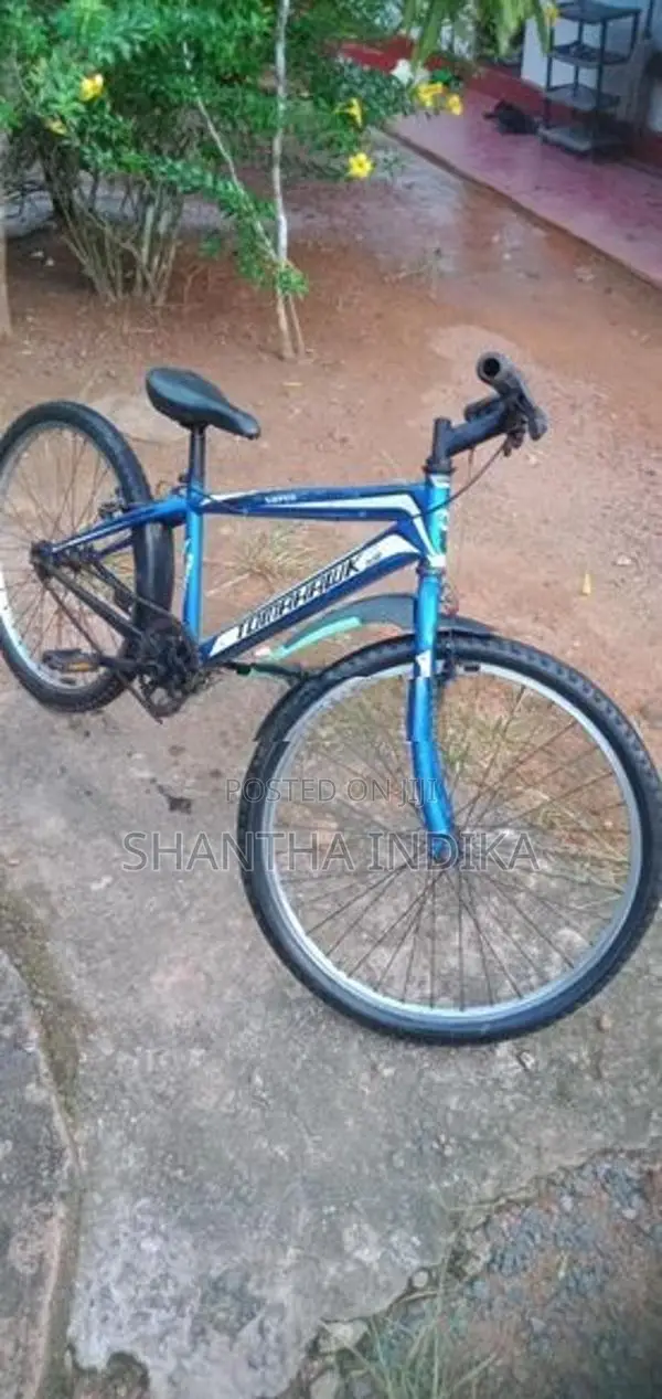 Bicycle