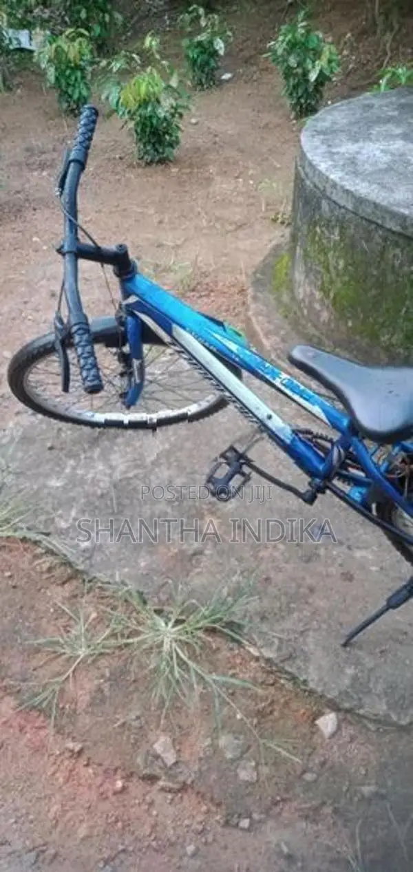 Bicycle