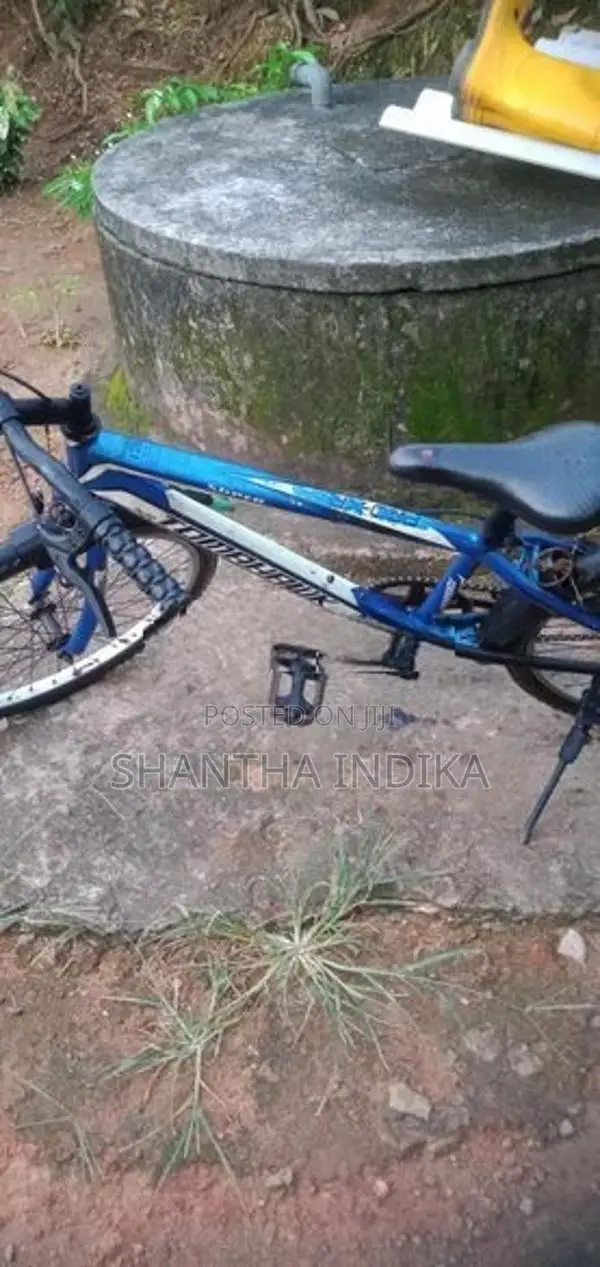 Bicycle