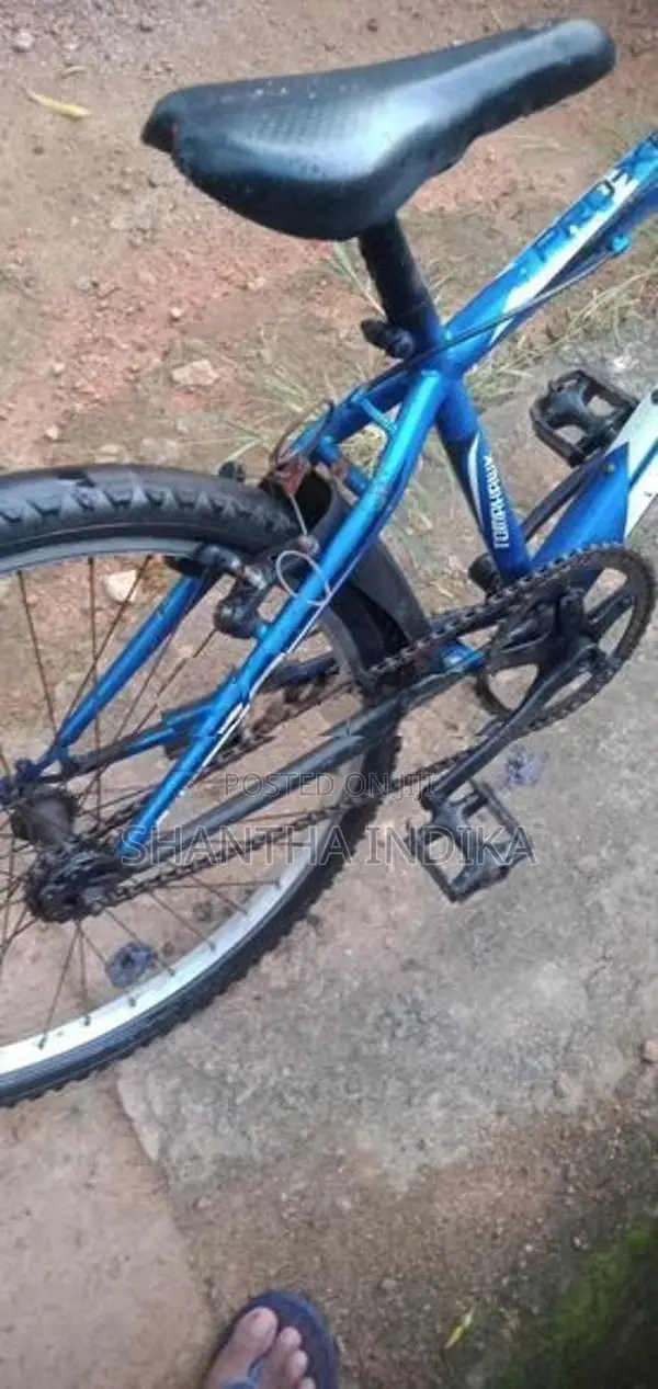 Bicycle