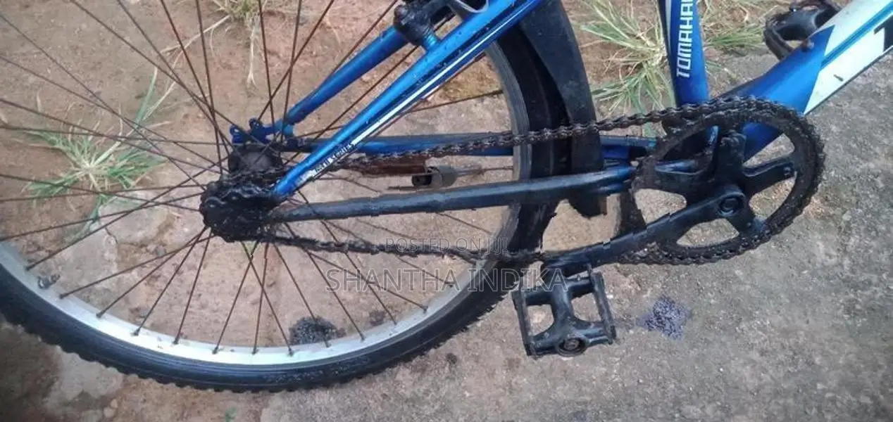 Bicycle