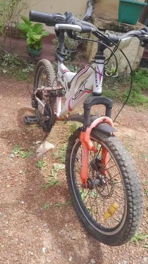 Lumala Next Junior Bicycle