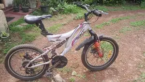 Lumala Next Junior Bicycle
