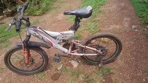 Lumala Next Junior Bicycle