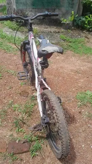 Lumala Next Junior Bicycle
