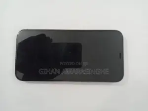 Apple iPhone 12 Pro Max (Used)